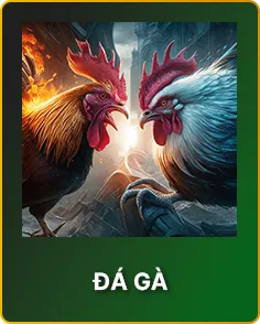 Trực tiếp Đá Gà Thomo Loto188
